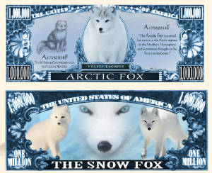 ArcticFoxFull.jpg