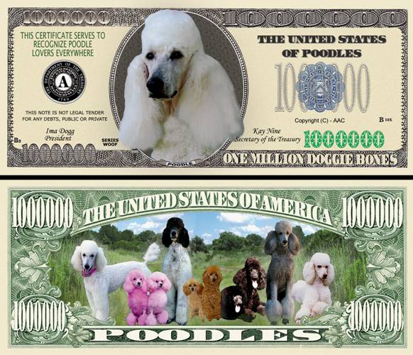 A Poodle Dog Dollar Bill 2100 Ebay